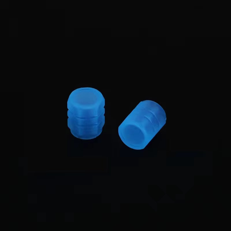 Luminous Night Glowing Absorb Light Motorcycle Wheel Valve Caps for Ducati Scrambler 800 Pcx125 Tuning Honda Navi Sherco