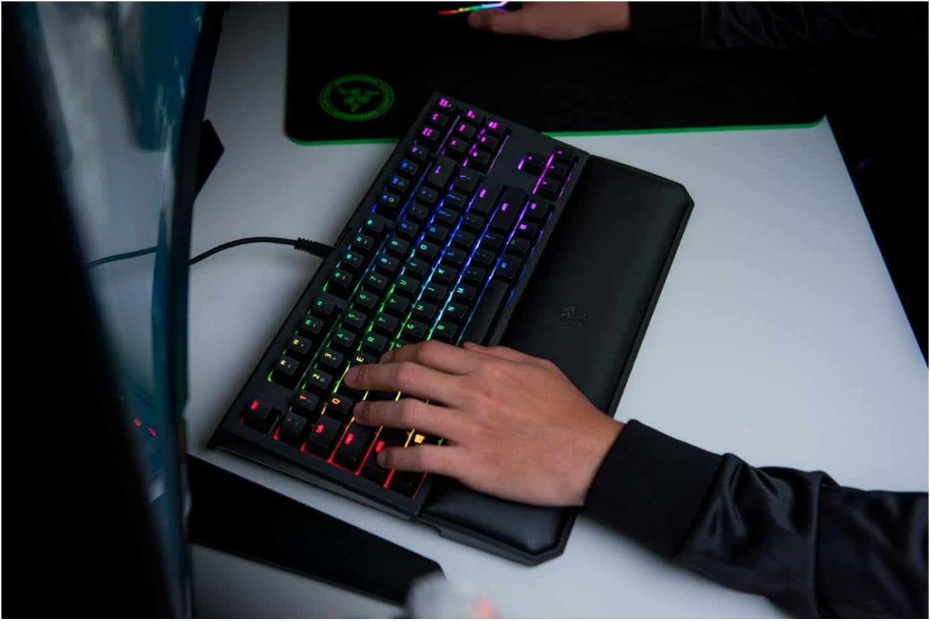 Blackwidow TE Chroma V2 TKL Tenkeyless Mechanical Gaming Keyboard: Orange Key Switches, Tactile & Silent, Chroma RGB Lighting, Magnetic Wrist Rest, Programmable Macros, Classic Black